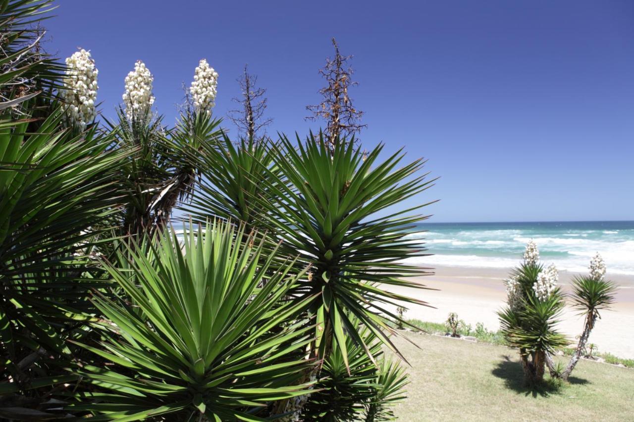 Haus Am Strand - On The Beach ワイルダーネス エクステリア 写真